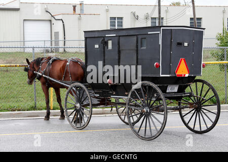 Amish buggy, Gosen, Indiana, STATI UNITI D'AMERICA Foto Stock