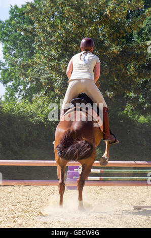 Pilota femmina visto da dietro saltando un ostacolo durante un cavallo jumping pratica Foto Stock