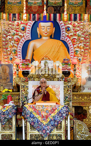 Sua Santità il Dalai Lama durante gli insegnamenti al monastero Namgyal,nel complesso Tsuglagkhang. McLeod Ganj Dharamsala, Himachal Pra Foto Stock