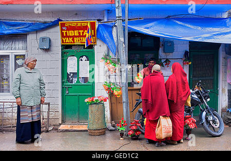 Scena di strada in Jogibara street ,McLeod Ganj Dharamsala, Himachal Pradesh, India, Asia Foto Stock