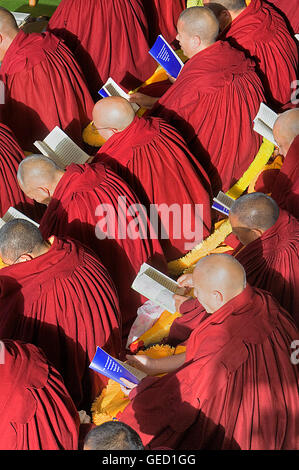 Puja,i monaci la preghiera durante il Losar anno nuovo, nel monastero Namgyal,nel complesso Tsuglagkhang. McLeod Ganj Dharamsala, Himachal Prades Foto Stock