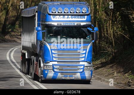 Scania R560 V8 ribaltabile bulk guidando lungo una stretta, viale alberato in una strada con il doppio di linee bianche in basso al centro Foto Stock