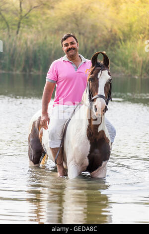 Marwari Horse. Pilota sul skewbald mare stando in piedi in un lago. Rajasthan, India. Foto Stock