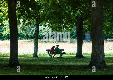 Silhouette di giovane il ricovero sotto gli alberi - Francia. Foto Stock