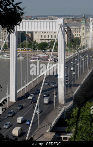 Western arcata del ponte Elisabetta Foto Stock