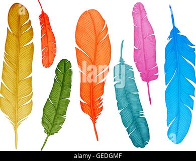 Disegnato a mano le piume impostato su sfondo bianco. Illustrazione Vettoriale Illustrazione Vettoriale