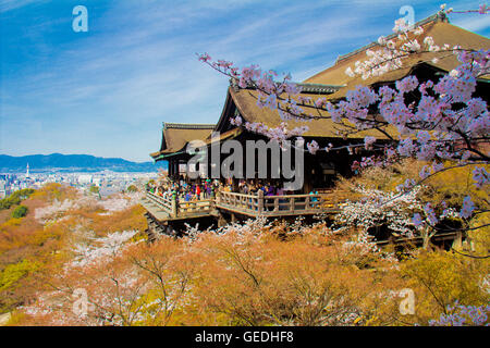 Kiyomizu-dera tempio durante la fioritura dei ciliegi a Kyoto in Giappone Foto Stock