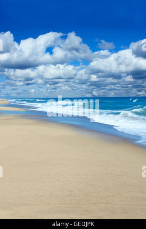 Misty blue beach in Wellfleet, Massachusetts il Cape Cod. Foto Stock