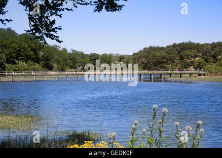 Lo zio di Tim a ponte Duck Creek a Wellfleet, MA Cape Cod Foto Stock