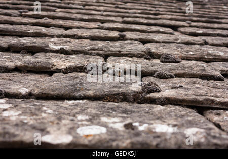 Tetto in Cotswolds con il lichen texture di sfondo Foto Stock