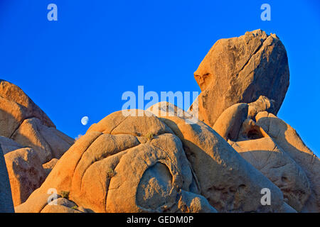 Geografia / viaggi, Stati Uniti, California, Joshua Tree, Joshua Tree National Park, Deserto Mojave, California, No-Exclusive-uso Foto Stock