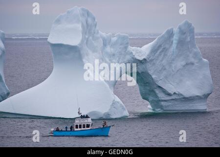 Geografia / viaggi, Canada, Terranova, St Anthony, Iceberg watching tour con Northland Discovery Tour in barca da Sant'Antonio visto dal piatto Point Lookout nella città di grande Brehat affacciato su Iceberg Alley nell'Oceano Atlantico, Viking Trail, sentieri Foto Stock