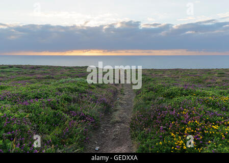 Tramonto sulla scogliera a Porthtowan in North Cornwall Foto Stock