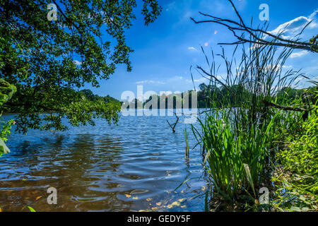 Paesaggio bello prendere in Osterley Park London REGNO UNITO Foto Stock