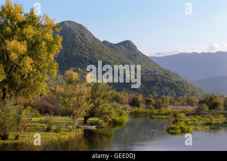 Il fiume Crmnica fluente attraverso Virpazar, il Lago di Scutari, Montenegro Foto Stock