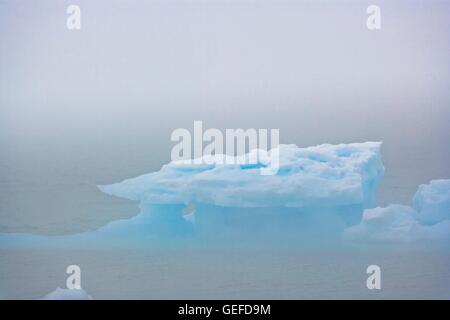 Geografia / viaggi, Canada, Labrador, insenatura di sabbia, Pack di ghiaccio in stretto di Belle Isle visto da insenatura di sabbia durante una giornata di nebbia lungo l'autostrada 430, sentieri per i vichinghi, Viking Trail, Grande Penisola Settentrionale, nel nord della penisola, Terranova, Foto Stock