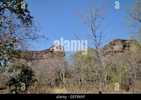 Bhopal, Madhya Pradesh, India - 5 Dicembre 2015: Foresta e ripari di Bhimbetka sito archeologico Raisen, Bhopal, Madhya Pradesh, India. Foto Stock