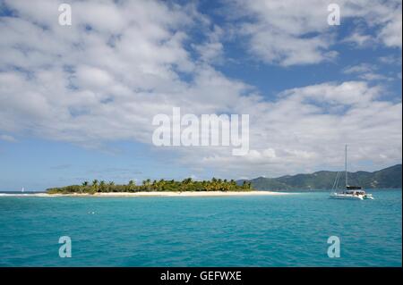 Green Cay, isola Jost Van Dyke, Isole Vergini Foto Stock