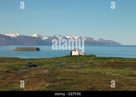 Nordurland vestra, Islanda Foto Stock