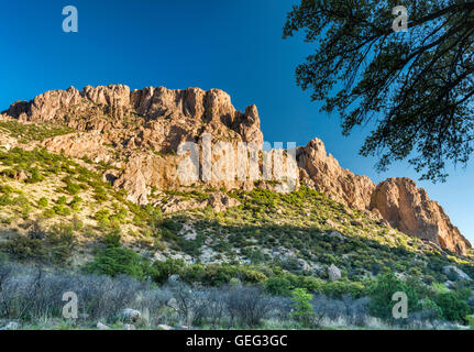 Riolite scogliere intorno a Sunny Flat Campeggio in grotta Creek Canyon, zona ripariale di habitat in Chiricahua Mountains, Arizona, Stati Uniti d'America Foto Stock