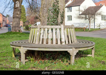 Circolare sedile in legno attorno al fusto di un albero sul villaggio verde, Wymeswold, Leicestershire, England, Regno Unito Foto Stock