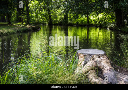 Canale d'acqua con un tronco in primo piano - Spreewald, Germania. Foto Stock