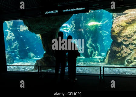 Genova, Italia - 2 giugno 2015: persone non identificate in acquario di Genova. L'Acquario di Genova è il più grande acquario in Italia e di un Foto Stock