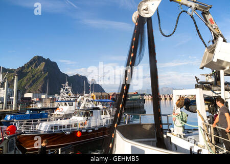 Barche da pesca in porto a Svolvaer, Isole Lofoten, Nordland, Norvegia Foto Stock