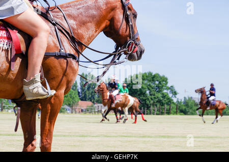 Ragazza a cavallo guarda la partita di polo e i giocatori al galoppo a distanza Foto Stock