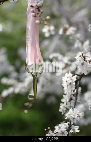 Il giardino segreto - golden key con nastro rosa su un ramoscello blossom Foto Stock