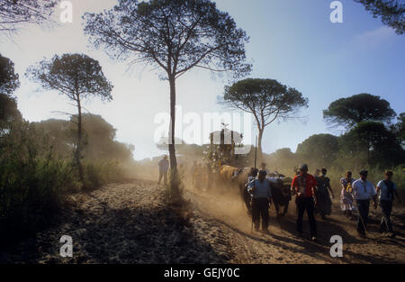 Pellegrini nei pressi di Cerro del Trigo,Romeria del Rocio, pellegrini sulla loro strada attraverso il parco nazionale di Doñana, il pellegrinaggio di Sanlúcar Foto Stock