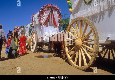 Pellegrini in prossimità Rocio village,Romeria del Rocio, pellegrini sulla loro strada attraverso il parco nazionale di Doñana, il pellegrinaggio di Triana bro Foto Stock