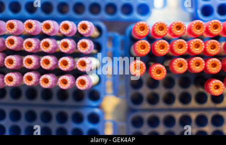 Hannover, Germania. Xxv Luglio, 2016. Tubi di campioni di sangue sit in contenitori durante una donazione di sangue a Hannover, Germania, 25 luglio 2016. Foto: Sebastian Gollnow/dpa/Alamy Live News Foto Stock