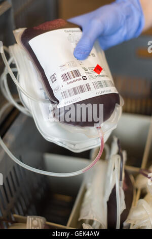 Hannover, Germania. Xxv Luglio, 2016. Un helper ordina una donazione di sangue in un cestello ad Hannover, Germania, 25 luglio 2016. Foto: Sebastian Gollnow/dpa/Alamy Live News Foto Stock
