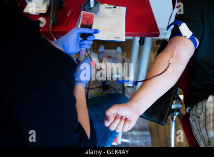 Hannover, Germania. Xxv Luglio, 2016. Un uomo dona il sangue in Hannover, Germania, 25 luglio 2016. Foto: Sebastian Gollnow/dpa/Alamy Live News Foto Stock
