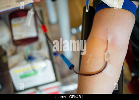 Hannover, Germania. Xxv Luglio, 2016. Un uomo dona il sangue in Hannover, Germania, 25 luglio 2016. Foto: Sebastian Gollnow/dpa/Alamy Live News Foto Stock