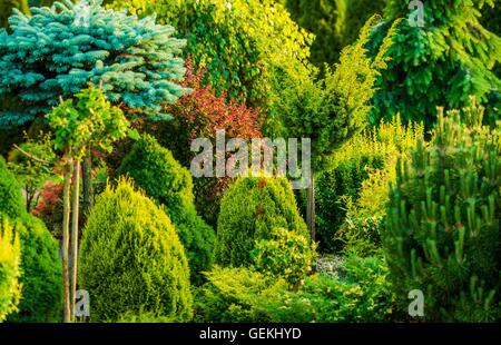 Bellissimo giardino Closeup Photo. Il giardino sul retro in estate. Molti diversi tipi di piante. Foto Stock