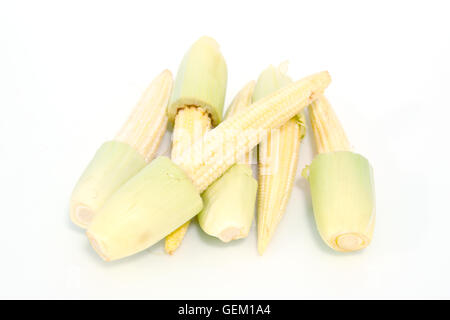 Bambino frutto di mais (noto anche come giovani mais, mini mais, cornlettes, candela mais Zea mays L, Gramineae) raggruppati e isolate su wh Foto Stock