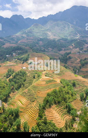 Tradizionale vietnamita il paesaggio con le montagne e le risaie di sapa, Vietnam del nord. Foto Stock