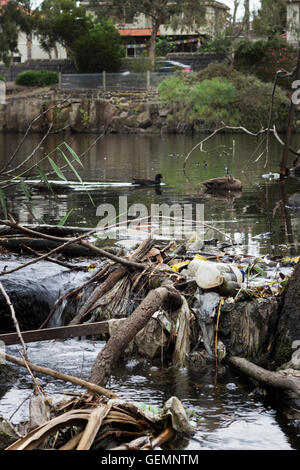 Rifiuti e immondizie intasare le vie navigabili di Melbourne. Foto Stock