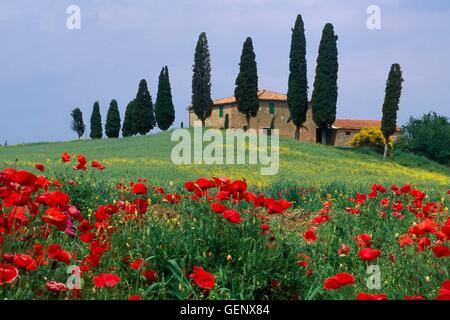 Villa Belvedere, Toscana Foto Stock