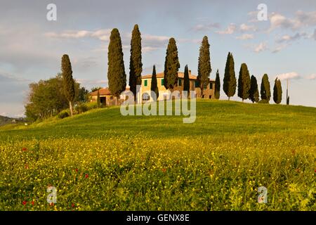 Villa Belvedere, Toscana Foto Stock