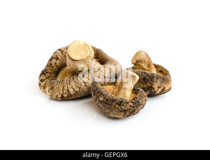 Asciugare funghi shiitake isolati su sfondo bianco. Foto Stock