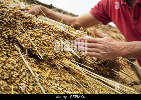 Close up di un uomo ricoprendo di paglia un tetto, stratificazione della paglia. Foto Stock