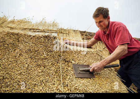 L'uomo ricoprendo di paglia un tetto, ravvivare la sterpaglia usando un leggett. Foto Stock