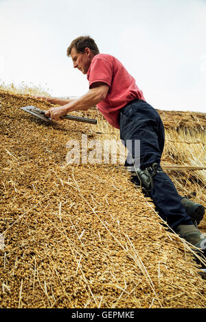 L'uomo ricoprendo di paglia un tetto, ravvivare la sterpaglia usando un leggett. Foto Stock