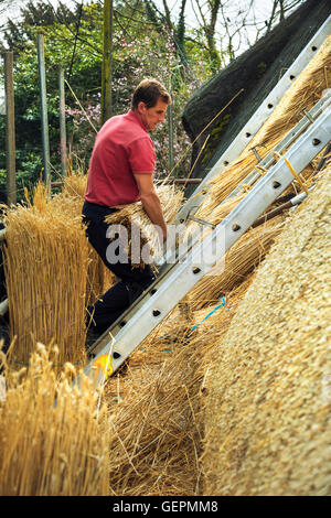 La Thatcher portante un yelm di paglia fino a tetto. Foto Stock