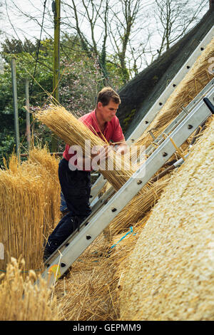 La Thatcher portante un yelm di paglia fino a tetto. Foto Stock