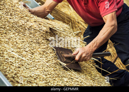 L'uomo ricoprendo di paglia un tetto, in piedi su una scaletta, ravvivare la sterpaglia usando un leggett. Foto Stock