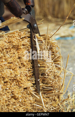 In prossimità di una thatcher il taglio di un yelm di paglia con un paio di forbici. Foto Stock